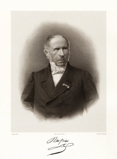 André Marie Jean Jacques Dupin von Jean Baptiste Adolphe Lafosse